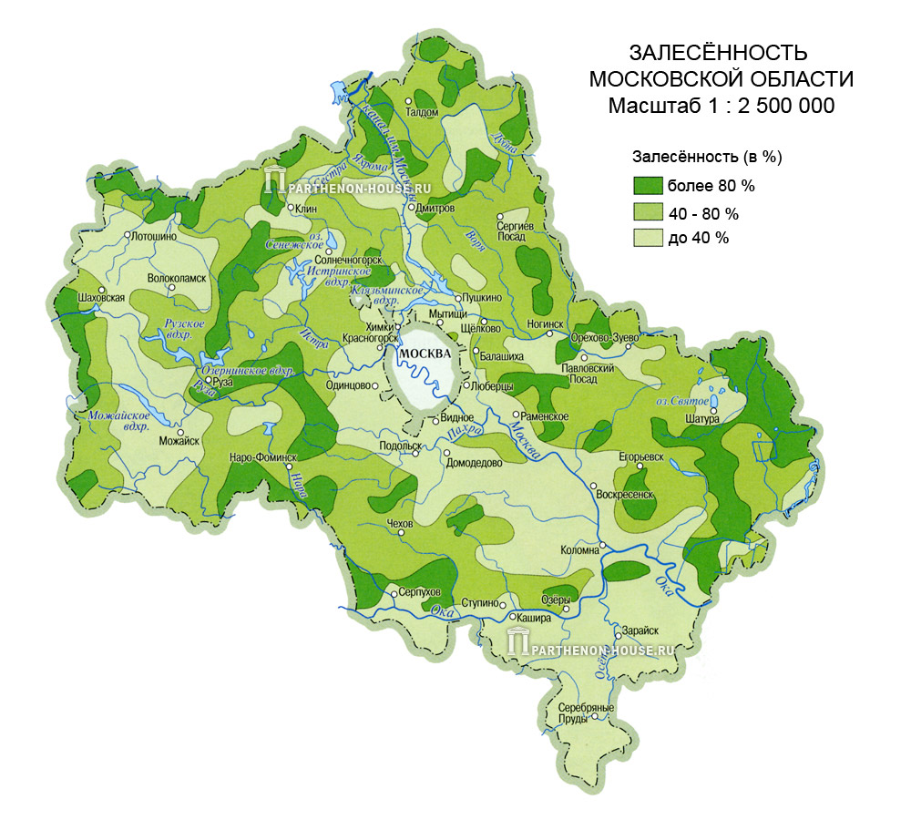 Зеленые зоны московской области