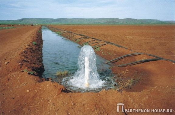 вода - жизнь