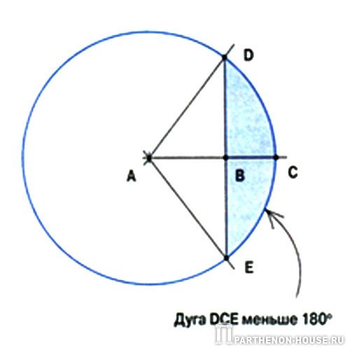 каркасная овальная стена