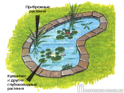 Строительство пруда