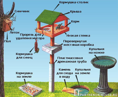 Как сделать кормушку для птиц своими руками