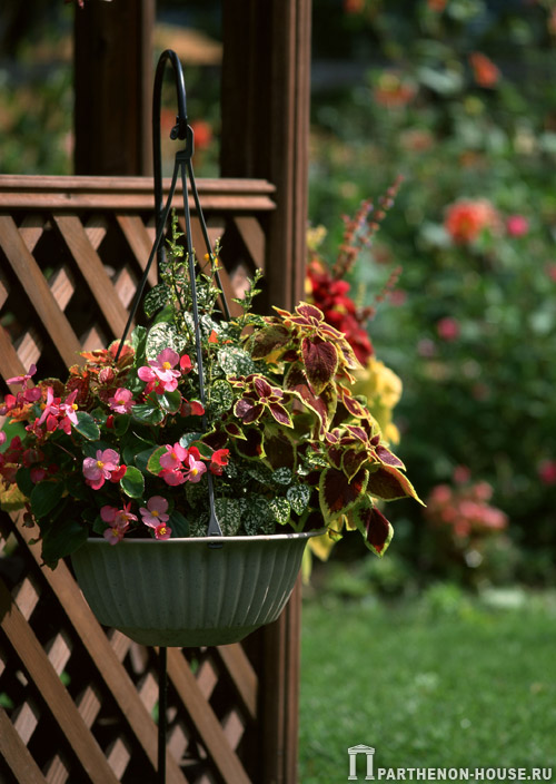 Цветочные горшки и контейнеры для садовых растений